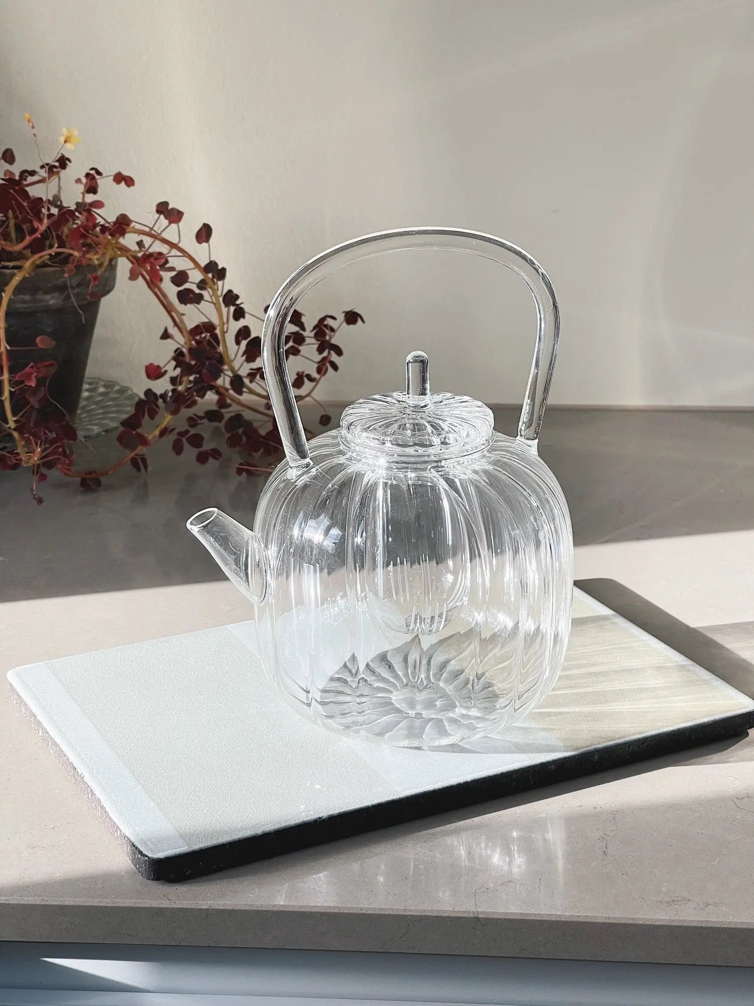 Ichendorf Cha no yu tekande i glas med filter Ichendorf