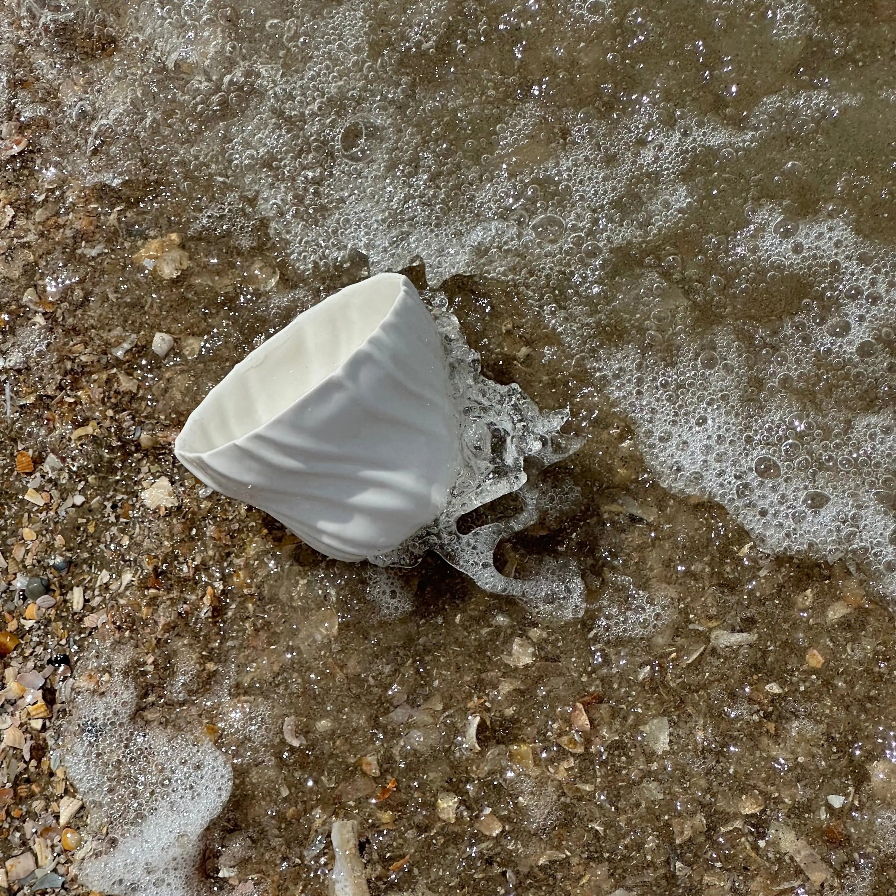 Atelier Marée Tide Cup in white porcelain by the shoreline – handcrafted Danish ceramics from Studio Hafnia.