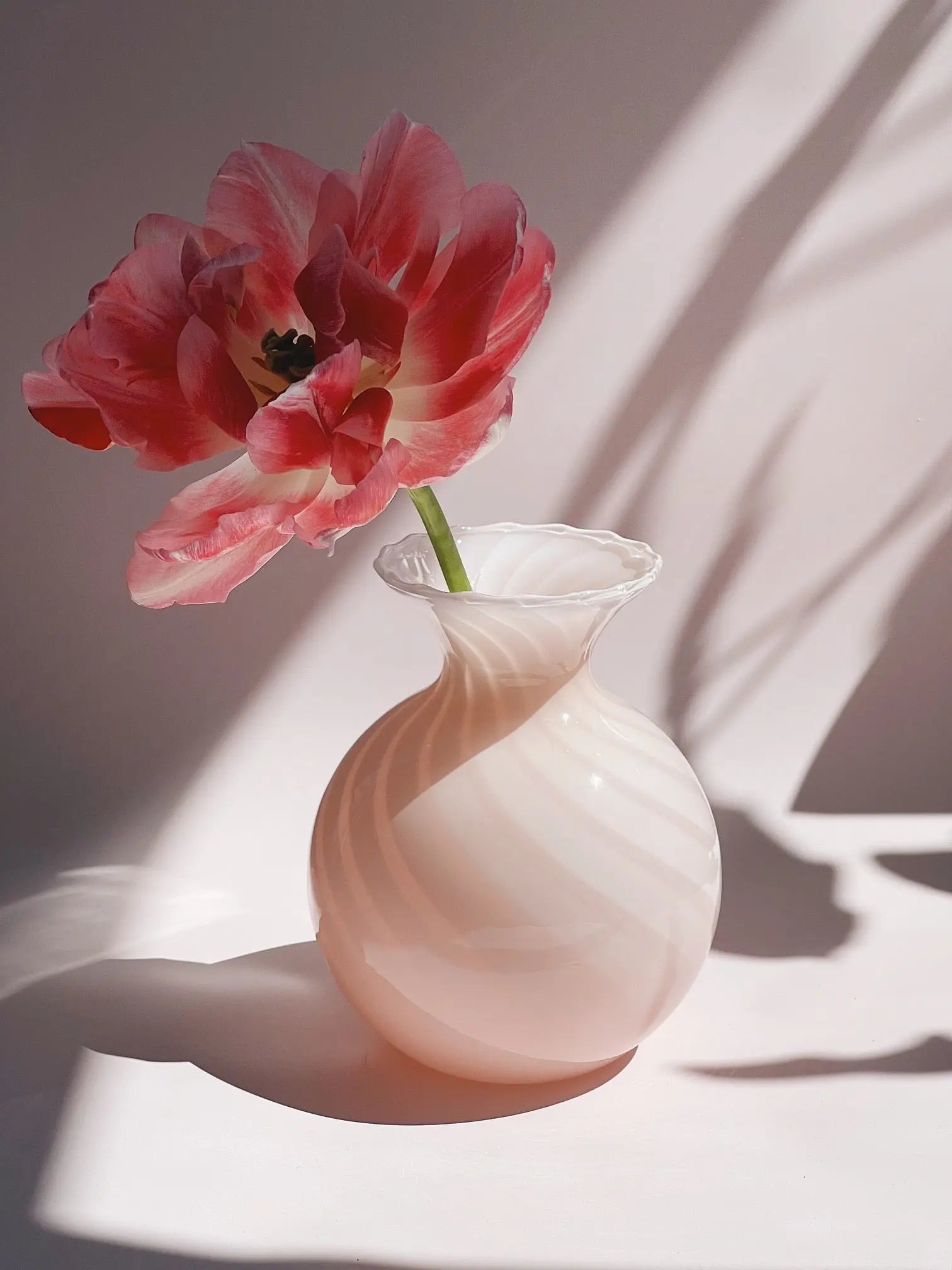 Murano Glas – Vaser, Lamper & Drikkeglas -  STUDIO HAFNIA