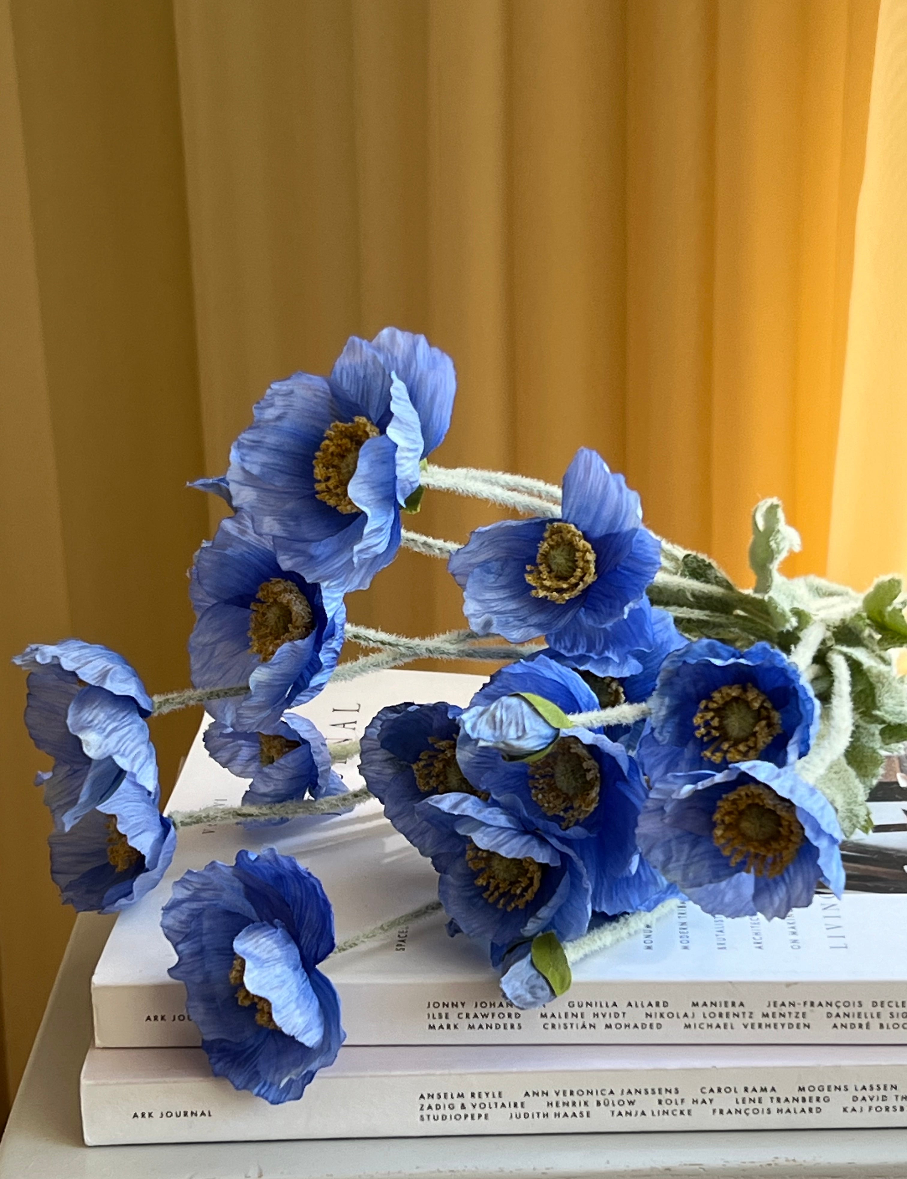 Poppy Bouquet | Blue STUDIO HAFNIA