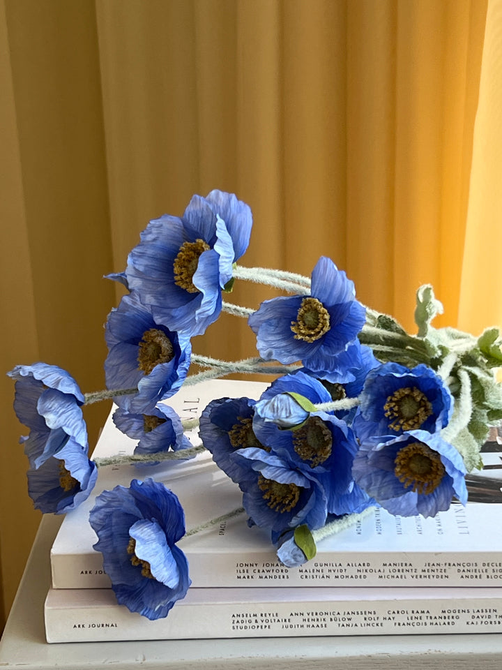Poppy Bouquet | Blue STUDIO HAFNIA