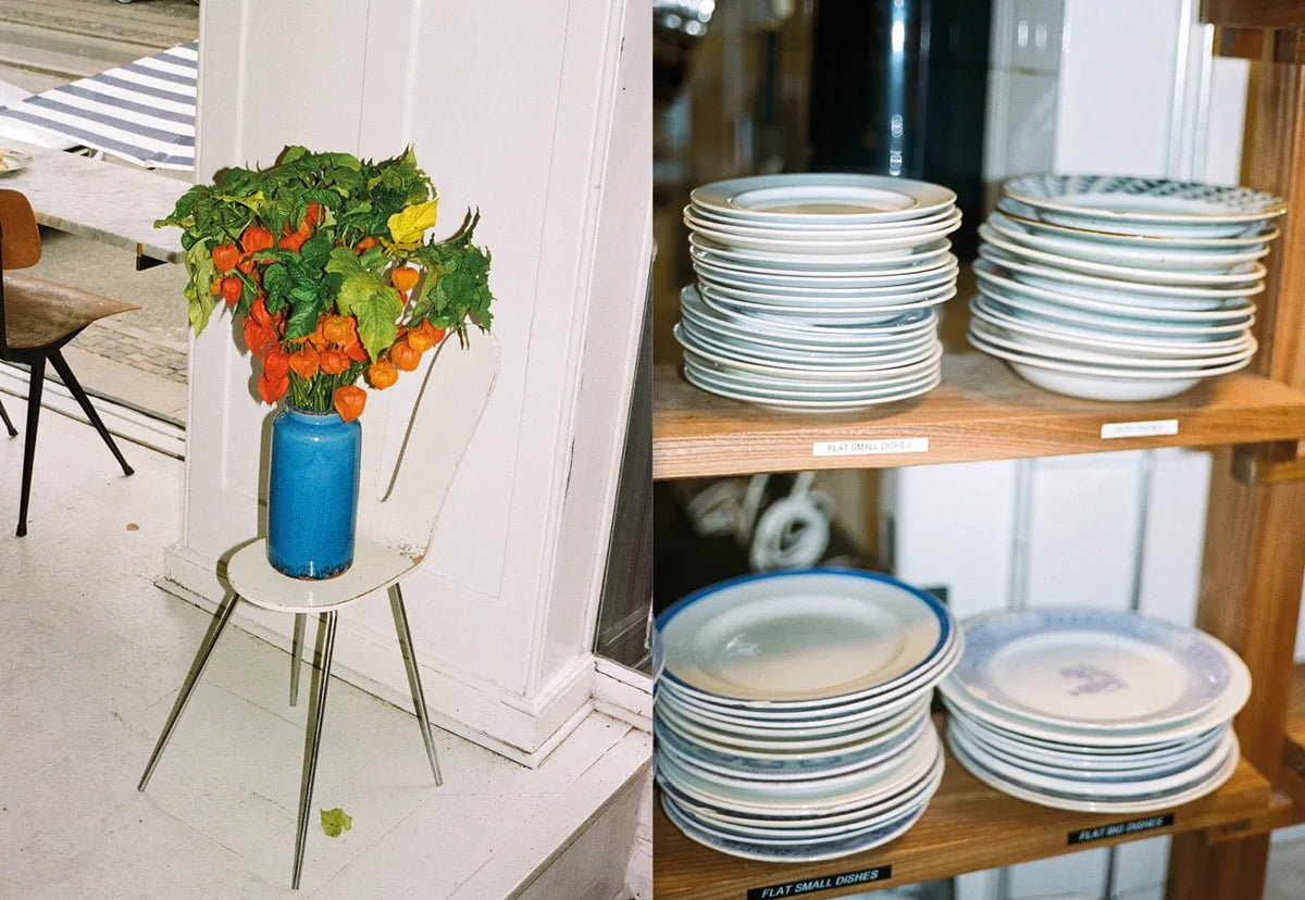 Tomato plant in a blue vase by the window and stacks of plates on wooden shelves at Atelier September