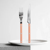 Bistrot Solid Bestiksæt 4 dele | Nude Pink (ferskenfarvet) Sabre Paris