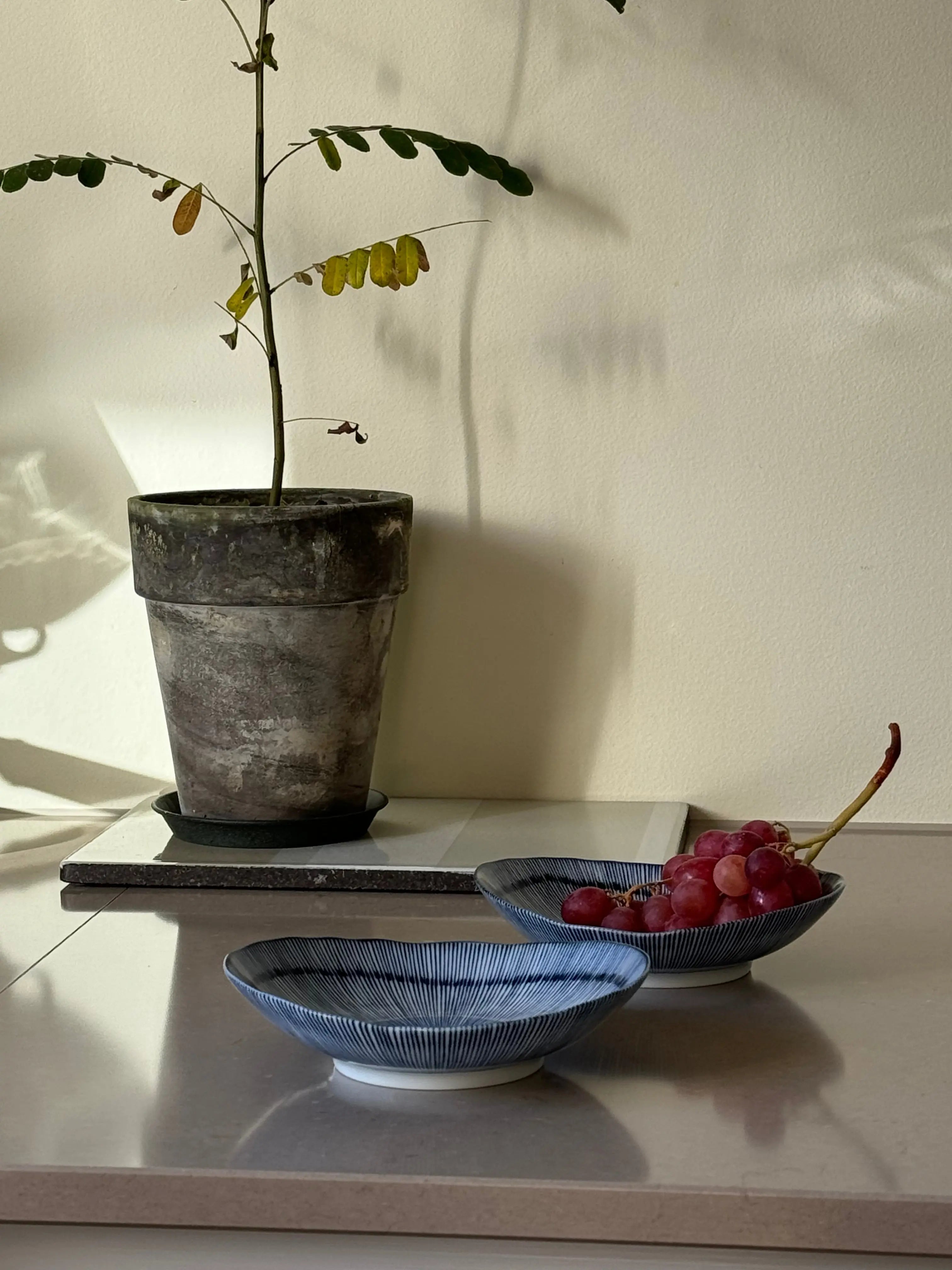 Japansk Oval Blåstribet Fad/Dyb Tallerken med Julienne Mønster | 16 cm Studio Hafnia