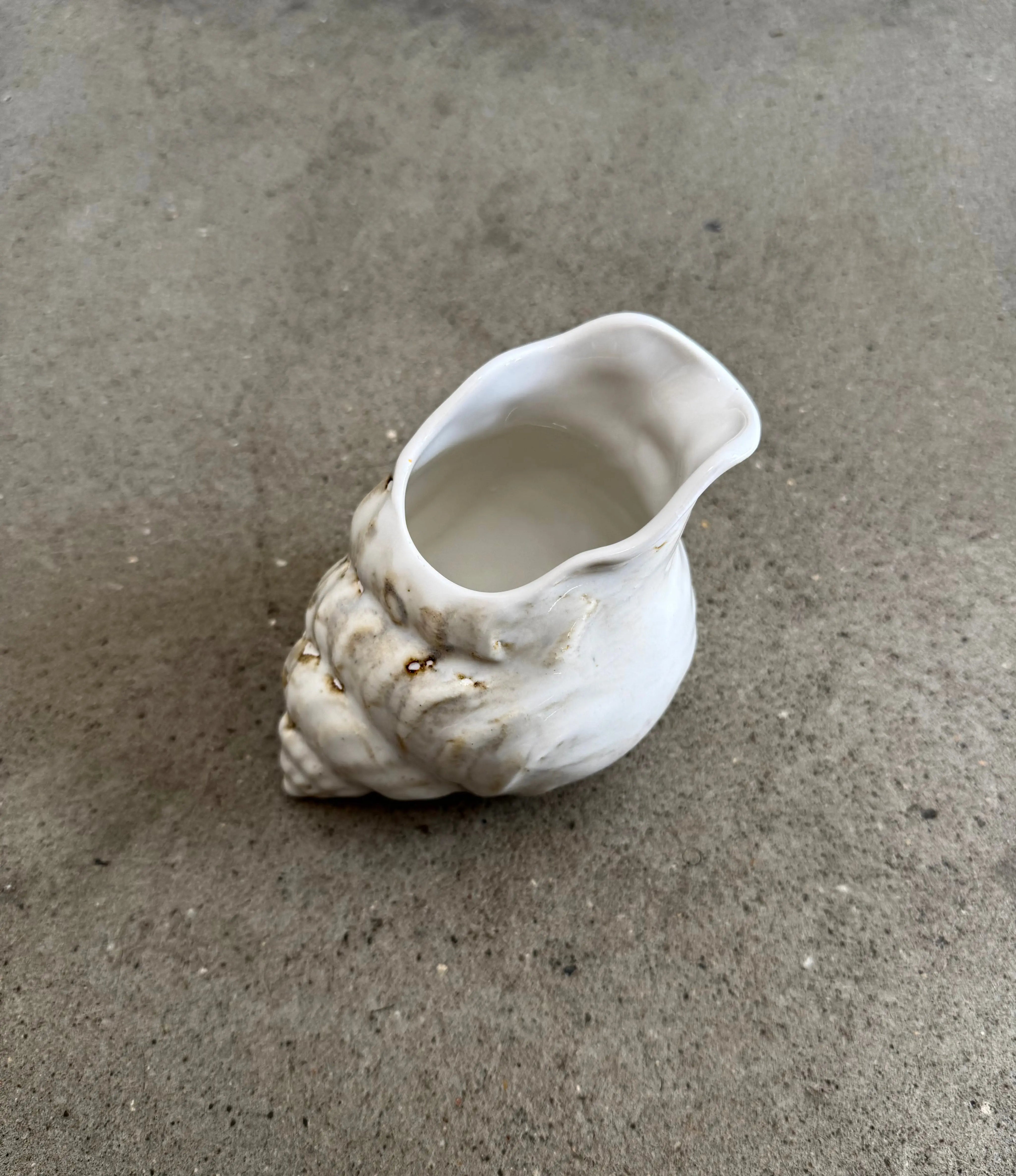 Conch Jug from Christina Iversen Studio at an angle, showing the organic conch form and open spout