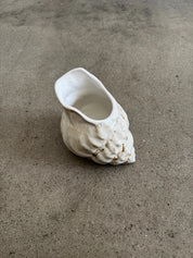 Conch Jug seen from the side - sculptural conch form in cream ceramic, H approx. 14 cm