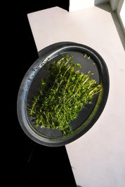 Oval Bakke i Stål – Sæt med 2 Studio Hafnia