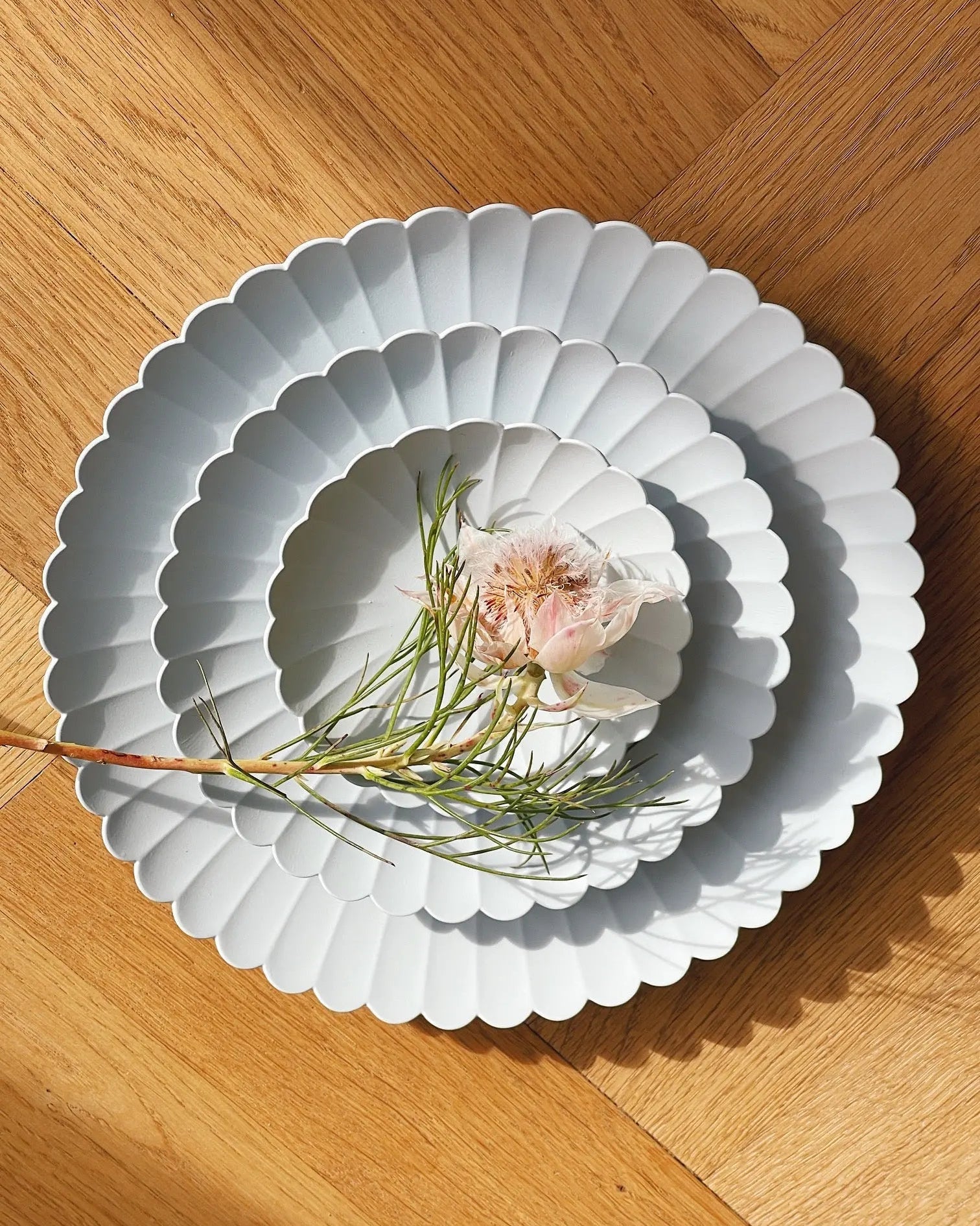 1616 / arita Japan Palace Plate, 110 | Glazed gray – STUDIO
