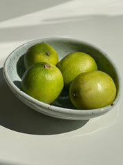 Pastelfarvet, grøn skål Studio Hafnia