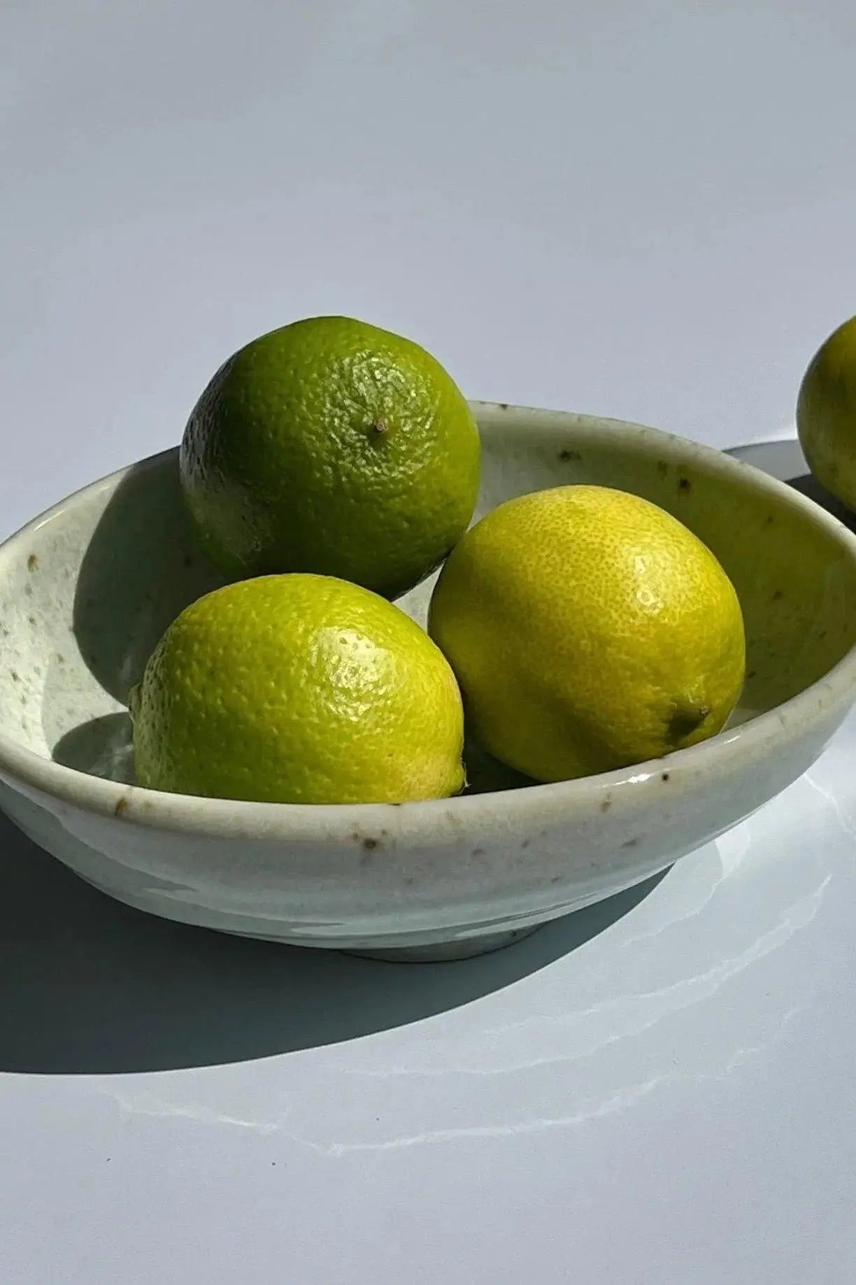 Pastelfarvet, grøn skål | Stor Studio Hafnia